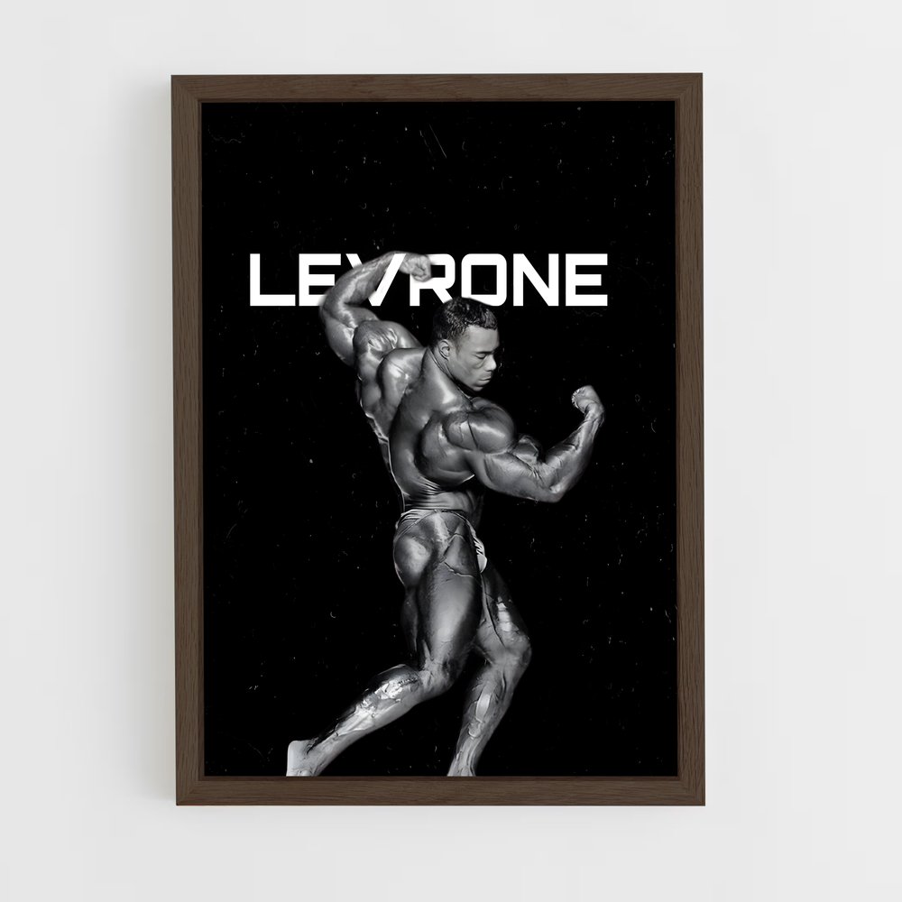 Poster Kevin levrone (vue 5)